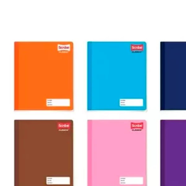 CUADERNO COLEG. CLASICO SCRIBE 1524 D.RAYA COS. 100H. C.24